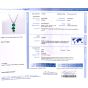 Colombian Emerald Diamond Carvin French Carved Platinum Necklace-Dover Jewelry