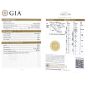 GIA Hidalgo Round Diamond 18K Gold Feather Band Engagement Ring
