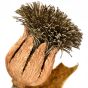 Buccellati Vintage Large Thistle Flower 18K Gold  Silver Morning Brooch Pi