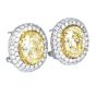 GIA 9.79cts Natural Yellow Diamond Halo Cluster Clip On  Stud Earrings
