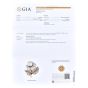 Buccellati Vintage GIA Natural Pearl Diamond 18K Gold Flower Brooch Pin|Dover Jewelry|