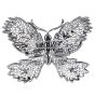  Butterfly 5.00 carats Diamond 18K Gold Brooch Pin