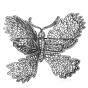  Butterfly 5.00 carats Diamond 18K Gold Brooch Pin