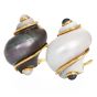 Seaman Schepps Turbo Shell Earrings with Black and White Pearls in 18K Yellow Gold