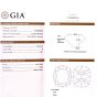 GIA Center 1.28 D-VS1 Cushion Diamond Pave Split Platinum Engagement Ring     
