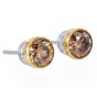 Fancy Brown Yellow Diamond 18K Gold Stud Earrings |Dover Jewelry|