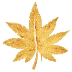 Vintage M. Buccellati  Maple leaf 18K Gold Brooch Pin