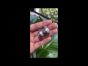 Estate Diamond 14mm Gray South Sea Pearl Platinum Clip-on Stud Earrings