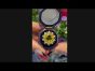 Heyman 11.00cttw Yellow Sapphire Diamond & Ruby 18K Gold Ring - 1227908