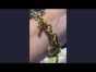 Chopard Happy Diamonds 'I Love You' Charm 18K Gold Bracelet - WD MSFJ 09