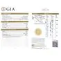 GIA Hidalgo Round Diamond 18K Gold Feather Band Engagement Ring
