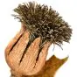Buccellati Vintage Large Thistle Flower 18K Gold  Silver Morning Brooch Pi
