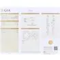 GIA 10.40cttw Cushion Cut Diamond Platinum Eternity Band|Dover Jewelry|