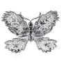  Butterfly 5.00 carats Diamond 18K Gold Brooch Pin