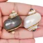 Seaman Schepps Turbo Shell Earrings with Black and White Pearls in 18K Yellow Gold