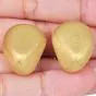 MAZ 18K Elegant Brushed Gold Clip-On Earrings