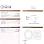 GIA Center 1.28 D-VS1 Cushion Diamond Pave Split Platinum Engagement Ring     