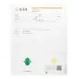 GIA 4.82 Carats Green Jade Diamond Platinum Cocktail Ring