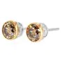 Fancy Brown Yellow Diamond 18K Gold Stud Earrings |Dover Jewelry|