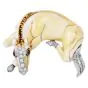 David Webb Enamel Horse Diamonds Rubies Platinum 18K Brooch