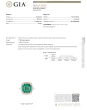  Diamond 8.08ct GIA Emerald 18K Yellow Gold Halo Eternity Ring